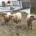 Luessishausen Im Luesserttal Mit 140m2 Und Glasfaser-dsl 別荘 *