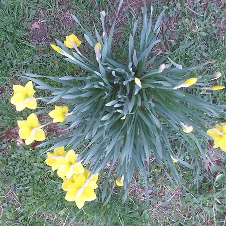 Luessishausen Im Luesserttal Auf Mehr Als 140m2 Holiday home *