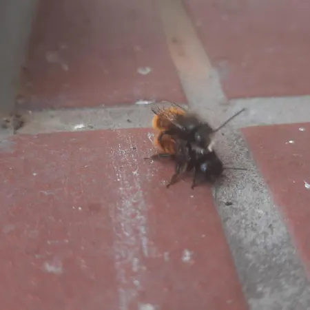 Luessishausen Im Luesserttal Auf Mehr Als 140m2 Holiday home *