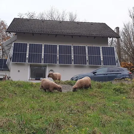 Luessishausen Im Luesserttal Feilbingert