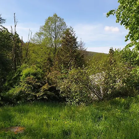 Luessishausen Im Lüsserttal Mit 140m2 Und Glasfaser-dsl Сasa de vacaciones Feilbingert