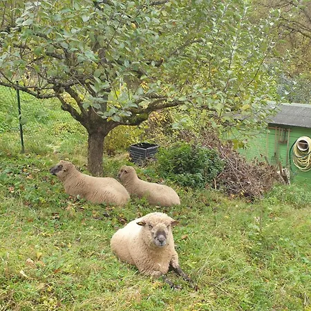 Luessishausen Im Luesserttal Auf Mehr Als 140m2 Holiday home *