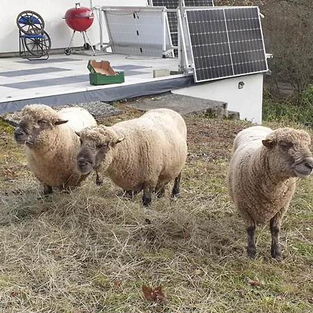 Luessishausen Im Luesserttal Vakantiehuis *