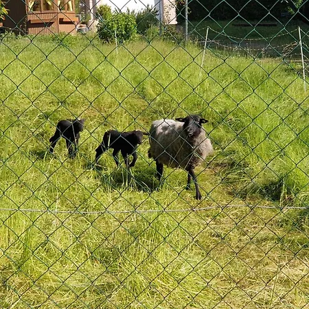 Luessishausen Im Luesserttal Auf Mehr Als 140m2