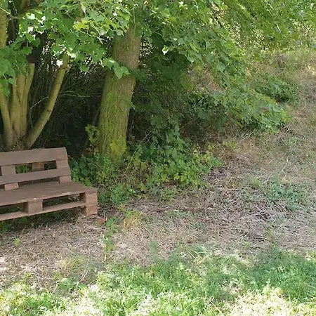 Luessishausen Im Luesserttal Vakantiehuis Feilbingert