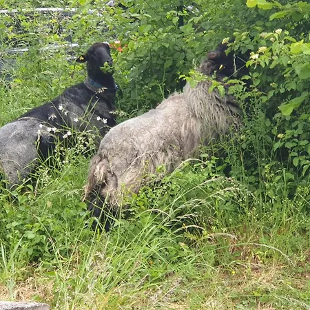 Holiday home Luessishausen Im Luesserttal Auf Mehr Als 140m2 Feilbingert