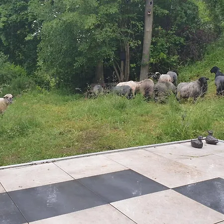 Luessishausen Im Luesserttal Auf Mehr Als 140m2 * Feilbingert