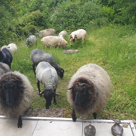 Holiday home Luessishausen Im Luesserttal Auf Mehr Als 140m2