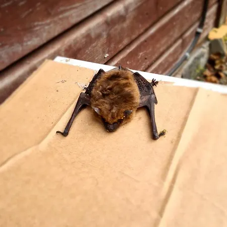 Luessishausen Im Luesserttal Auf Mehr Als 140m2 Feilbingert