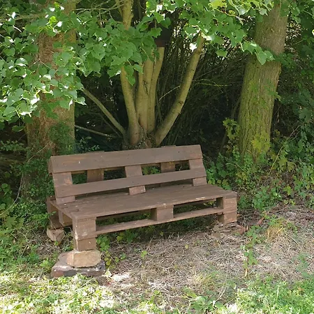 Luessishausen Im Luesserttal Mit 140m2 Und Dsl *