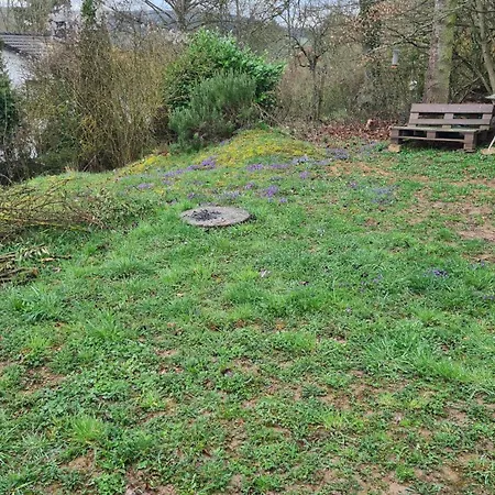 Luessishausen Im Luesserttal Mit 140m2 Und Glasfaser-dsl Casa de Férias