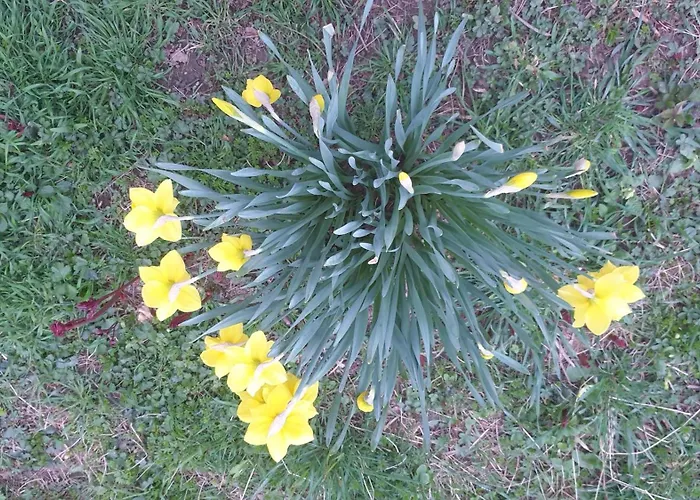 Luessishausen Im Luesserttal Mit 140M2 Und Glasfaser-Dsl בית נופש *