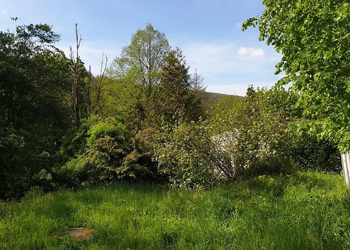 Luessishausen Im Luesserttal Mit 140M2 Und Glasfaser-Dsl בית נופש Feilbingert