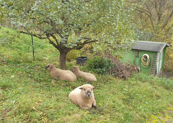 Luessishausen Im Luesserttal Mit 140M2 Und Glasfaser-Dsl Feriehus *
