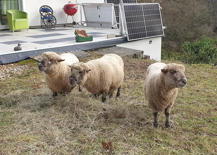Luessishausen Im Luesserttal Mit 140M2 Und Glasfaser-Dsl בית נופש *