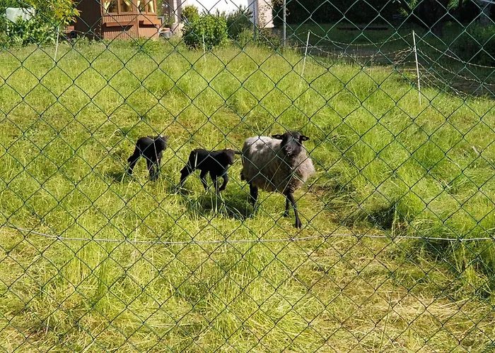 Luessishausen Im Luesserttal Mit 140M2 Und Glasfaser-Dsl