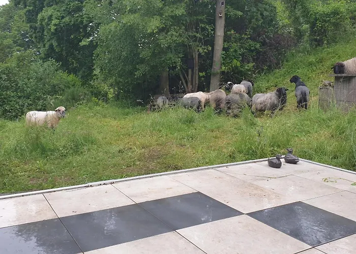 Luessishausen Im Luesserttal Mit 140M2 Und Glasfaser-Dsl * Feilbingert