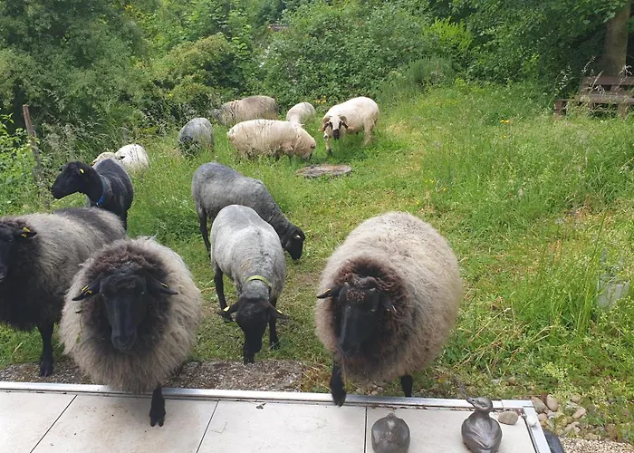 בית נופש Luessishausen Im Luesserttal Mit 140M2 Und Glasfaser-Dsl