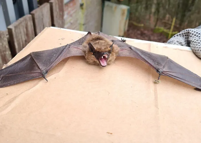 Luessishausen Im Luesserttal Mit 140M2 Und Glasfaser-Dsl *